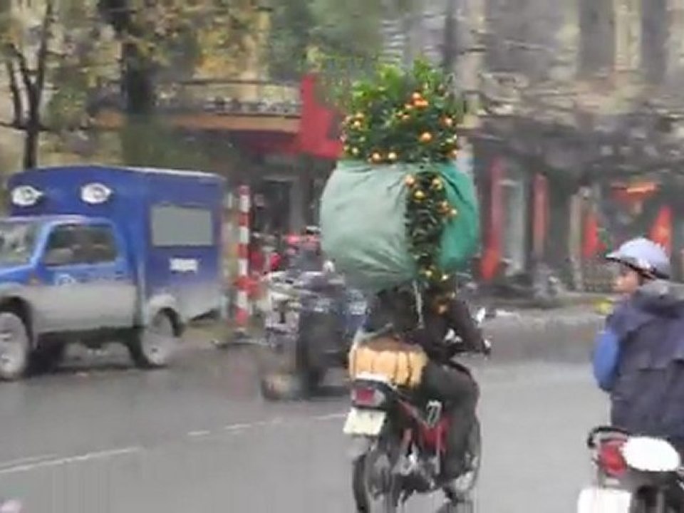 VIETNAM.Ninh Binh.Marché aux pêchers pour le nouvel an.