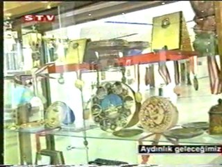 Zafer Zengin Biyoloji Olimpiyatı STV-1