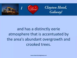 Clayton Hotel Galway