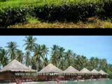 Islas Paradisiacas - Isla Sumatra