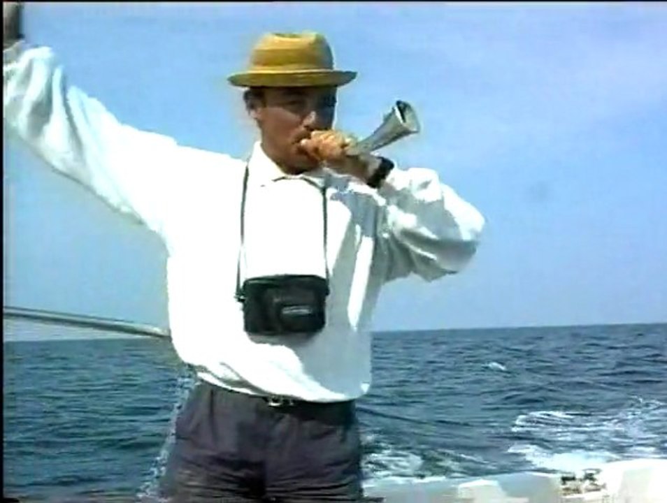 Au large de Piriac sur Mer