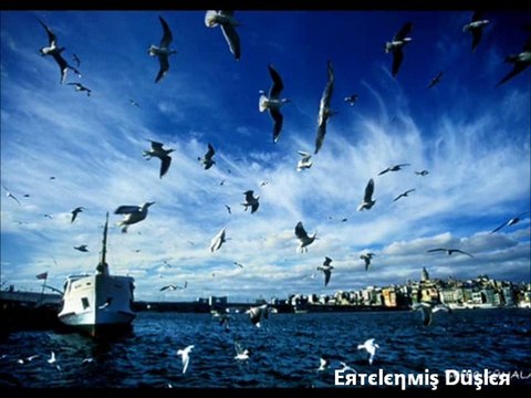 YENI TURKU BASKA TURLU BIRSEY