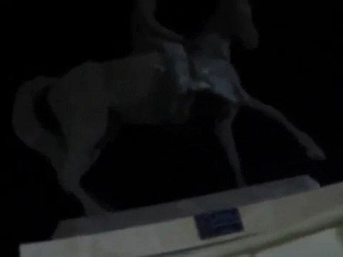 فري برس حملة التطهير في مدينة الحسكة تبدا واولها رشق الصنم في حي غويران بالدهانات وتلويثه 12 12 2011