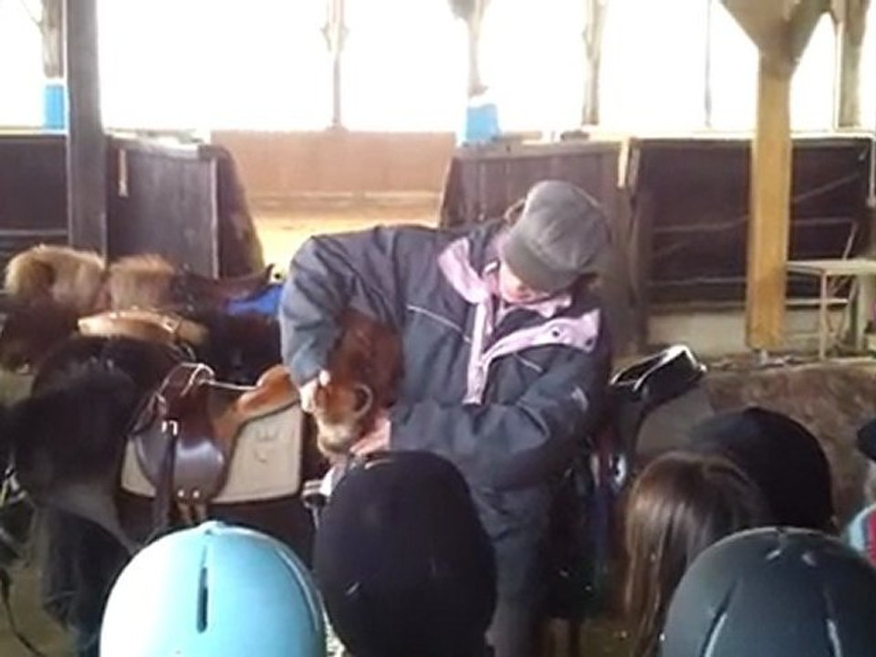 video-2012-01-21