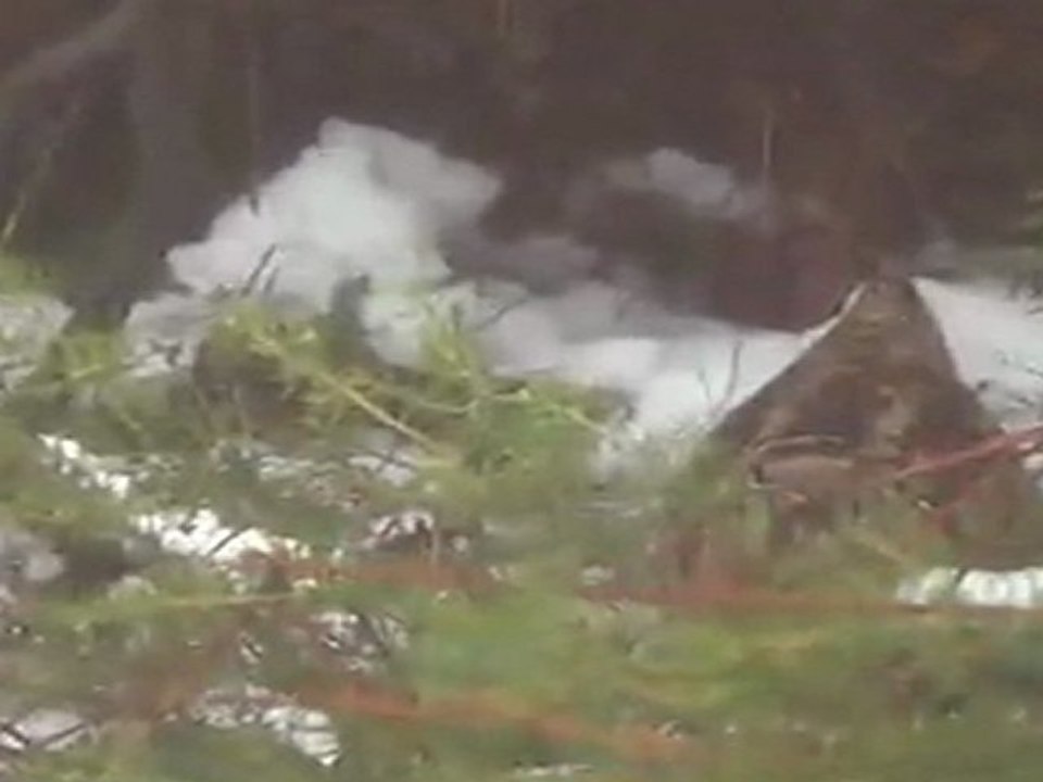 Muhteşem Setterler Ölüme Uçan Ormanın SULTANI...