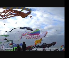 New Port 2012 cerf-volants,kites