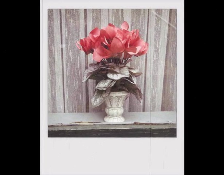 collection vintage half-art