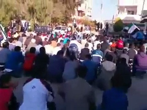 فري برس فيديو مظاهرة العشب يريد حماية دولية في الوعر الجديد 16 12 2011