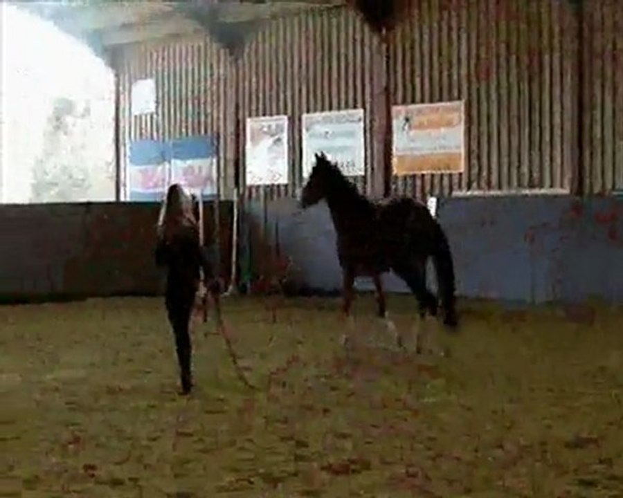 voltee montage limes