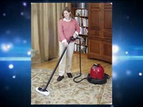 LadyBug 2150 Dry Vapor Steam Cleaner