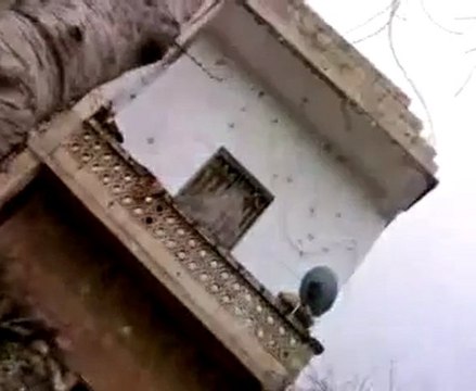 فري برس اجتياح كتائب الاسد جبل الزاوية قرية بلين 17 12 2011