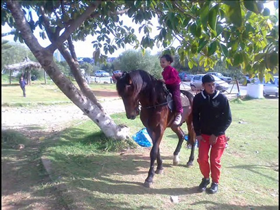 forêt de Baïnem 21 janvier 2012