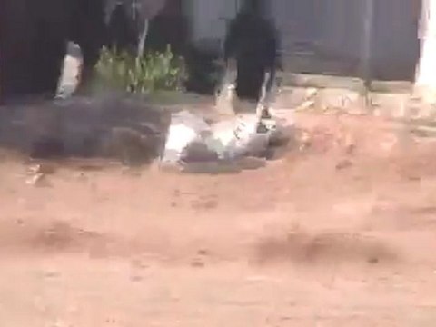 فري برس حمص تلبيسة مداهمة الجيش والامن لمنازل الحي الجنوبي