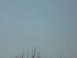 فري برس   غوطة دمشق   سقبا المروحيات في سماء المدينة 19 12 2011