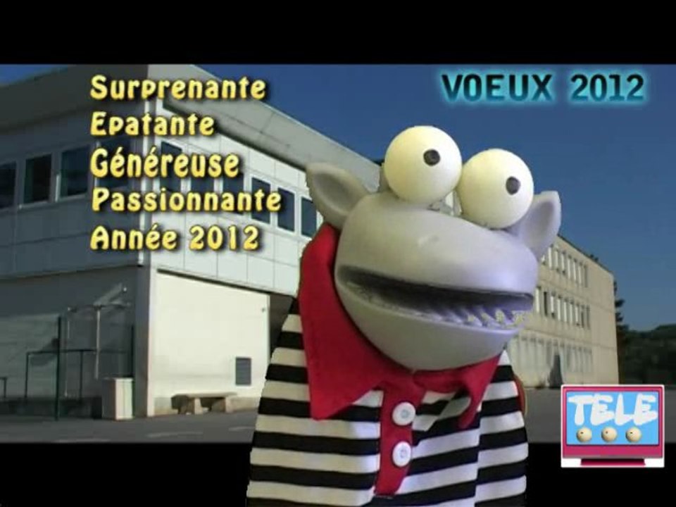 Voeux 2012