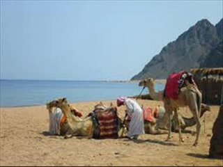 National Geographic Desert Seas Part 1 of 12 Full Movie