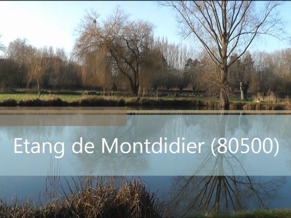 Etang montdidier