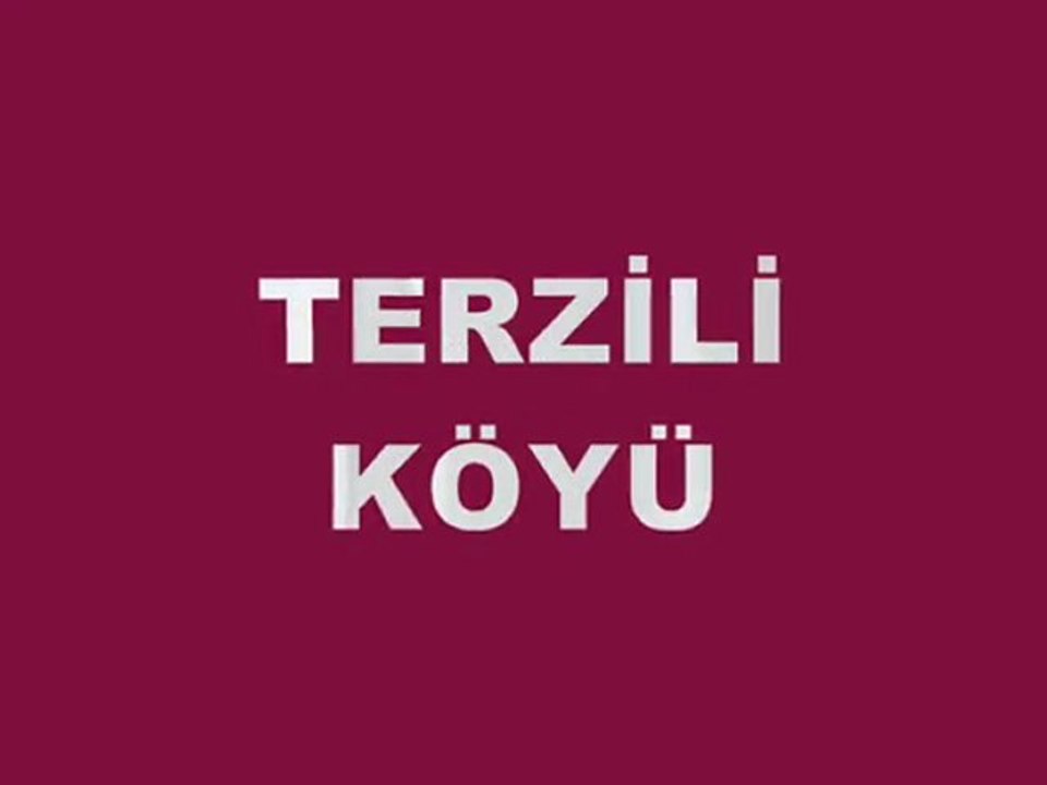 TERZİLİ  KÖYÜ 2012  RESİM  SLAYT- 2