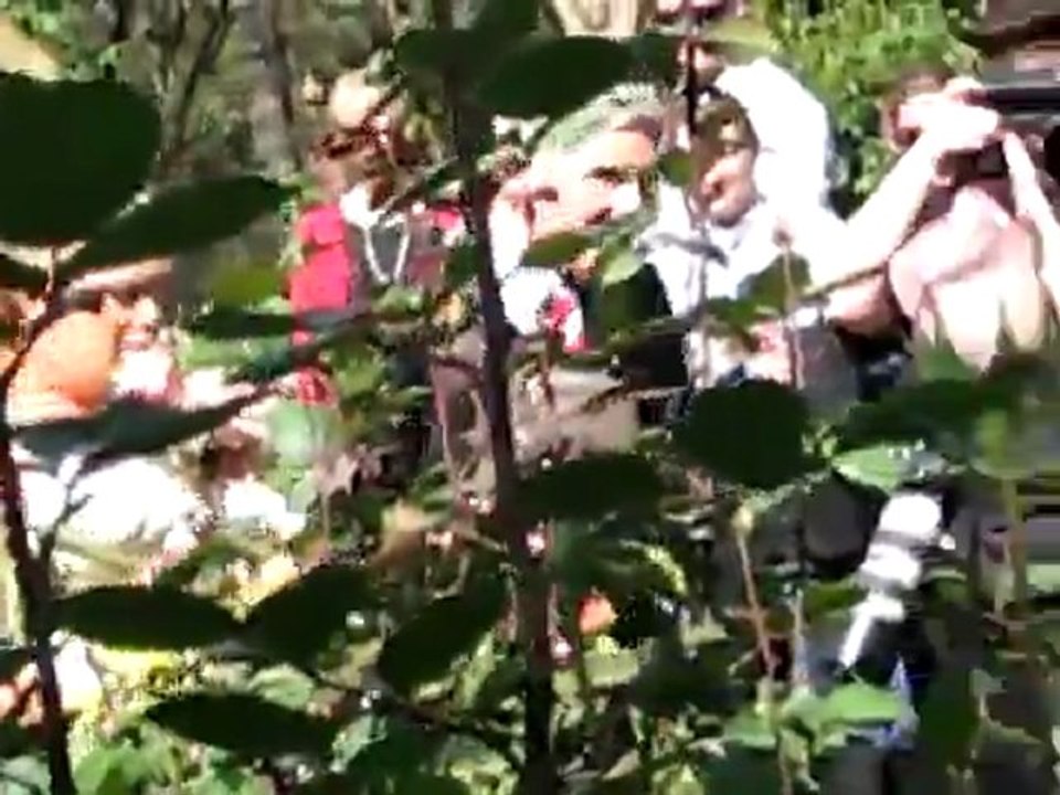 Wedding Celebrant Preparation Advice For A Memorable And Meaningful Marriage Ceremony