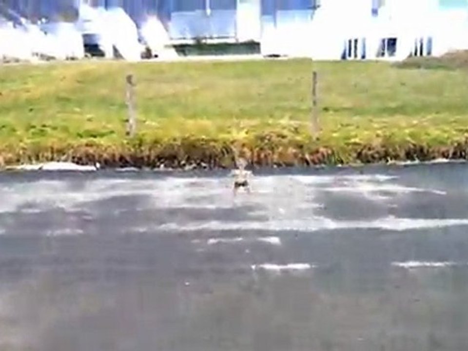 Nolife sorte et Nolife Rentre