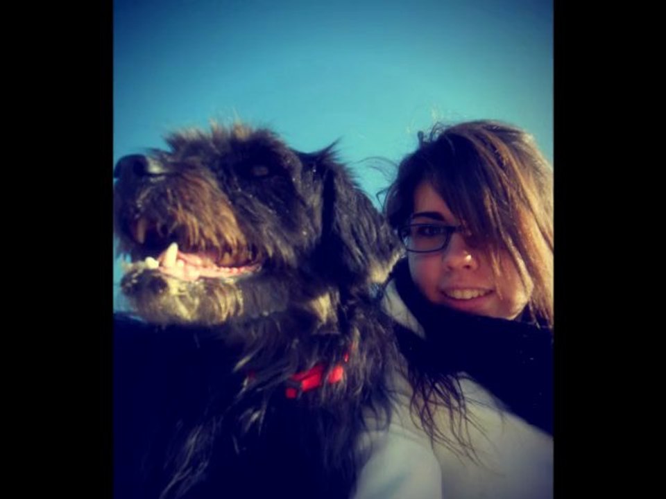 Carla & City Entraînement Agility à Cognac 21 Janvier 2012