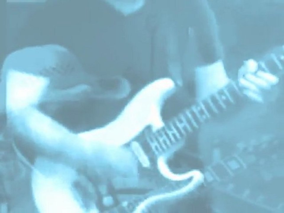 catfish**jamie morgan**a video by suttieslea
