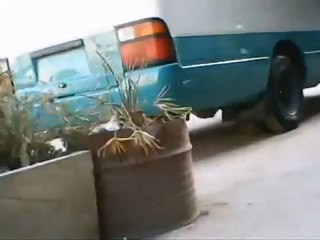 فري برس    بيردي ام في ساحة كفربطنا 22 12 2011