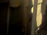 فري برس   ريف دمشق عربين إقتحام الجيش الأسدي للمدينة جمعة بروتوكول الموت 23 12 2011 ج2