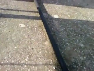 فري برس   حمص المعلب جمعة بروتوكول الموت 23 12 2011