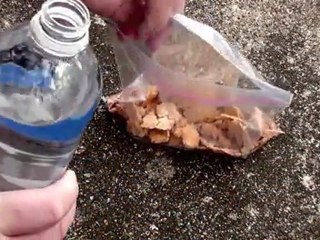 Hungry Hammock Hanger- Hot Bean Dip