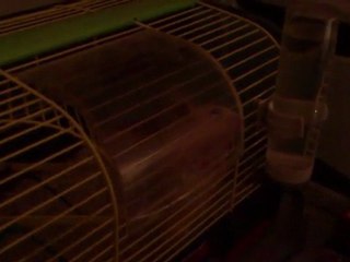 Voici la réincartion de michael scofield ^^