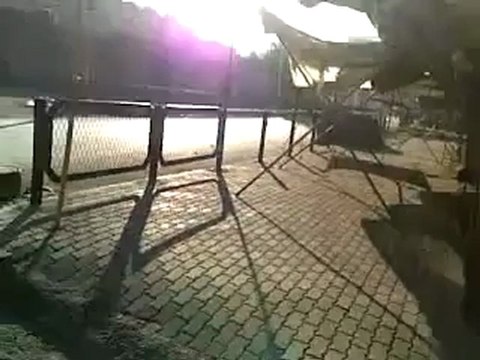 فري برس ‏ حماة اطلاق الرصاص على المارة في الحاضر 28 12 2011