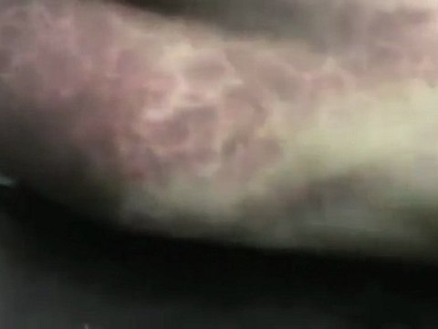 فري برس ‏ حماة شهيد ساحة العاصي 28 12 2011