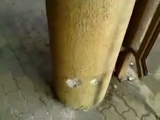 فري برس   حماة آثار إطلاق الرصاص العشوائي على المتظاهرين في شارع 15 آذار 30 12 2011