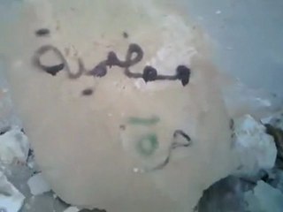 فري برس   معضمية الشام كتابة عبارات واسم المجرم بشار على الارض بسواعدالأحرار 31 12 2011 ج2