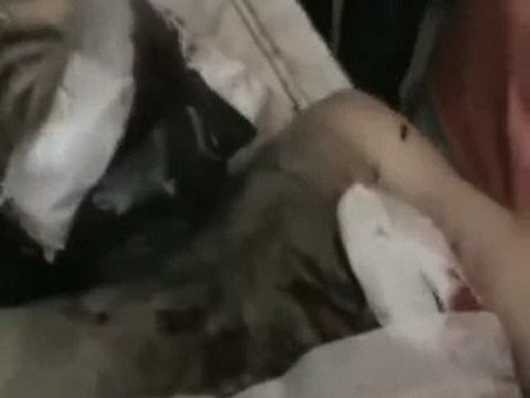 فري برس حمص الخالدية الشهيد باذن الله محمد عبد الباسط طياوي 8 1 2012