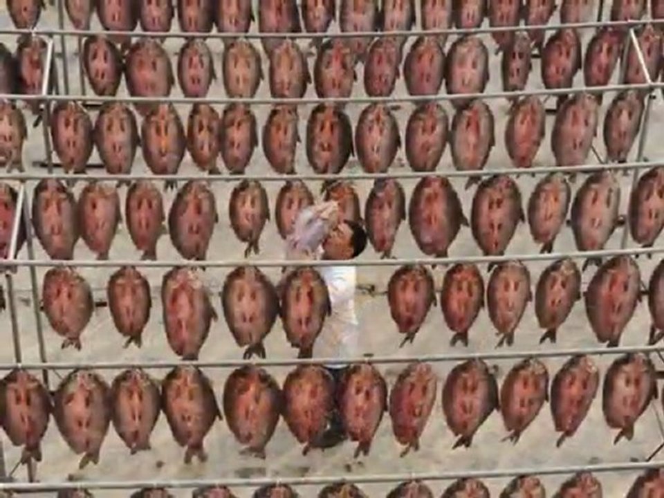 اغنية حسن الاسمر