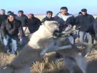 M2U00204(00h00m00s-00h01m28s)