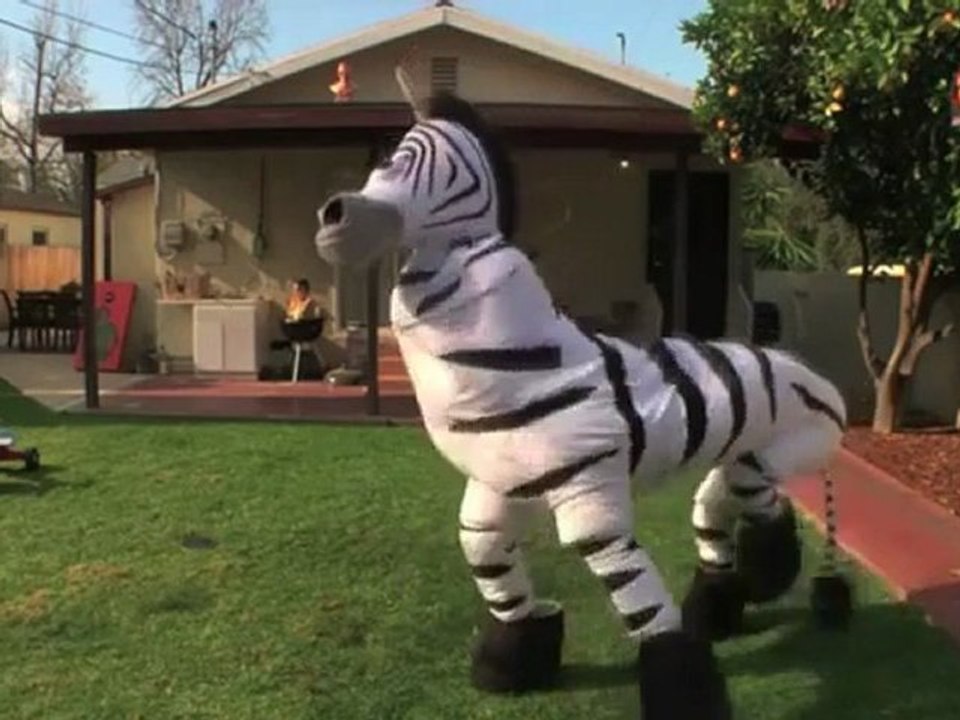 Dope Zebra Shufflin