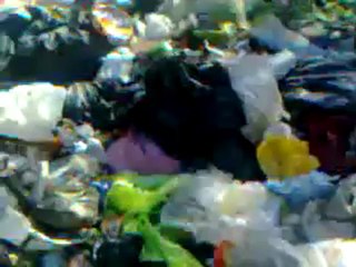 فري برس   خطاب بشار الأسد مباشر في كرم الزيتون حمص 10 1 2012 ج1