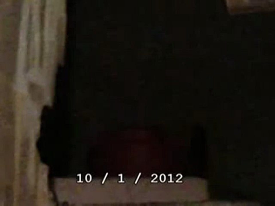 فري برس   حمص الخالدية   اصوات القصف على الحي 10   1   2012