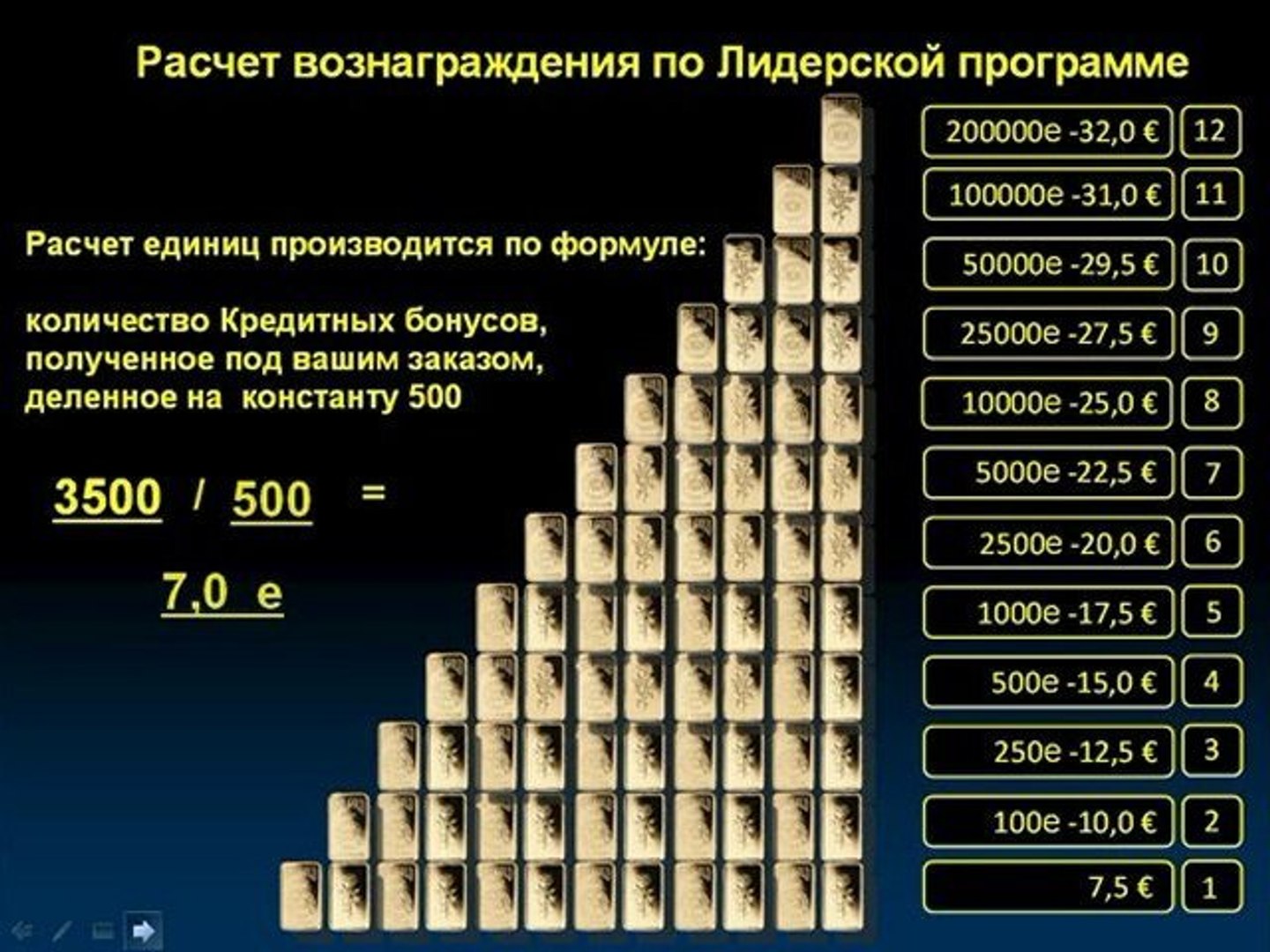 Лидерская программа EmGoldEx