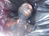 فري برس   حمص جب الجندلي الشهيد محمد حسن القاسم خطف وحرق حتى الموت على يد الشبيحة 11 1 2012