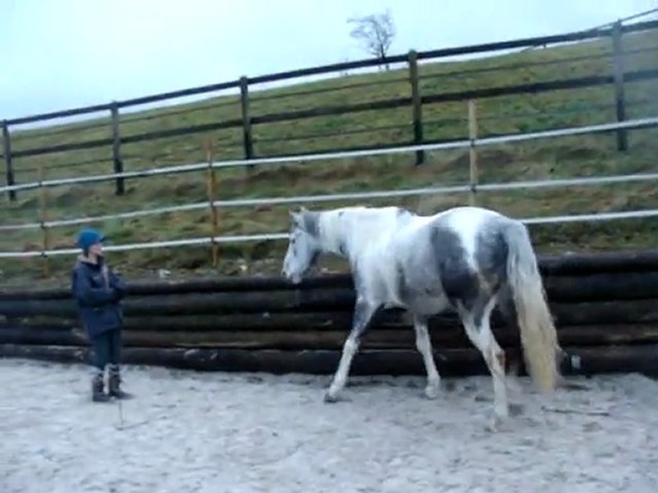 Safran: travail au sol en liberté