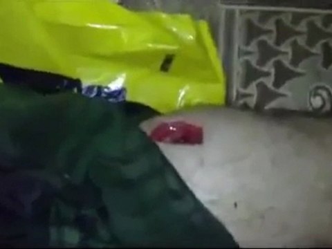 فري برس ادلب معرة النعمان الشهيد البطل حمادي ديب السعيد 12 1 2012