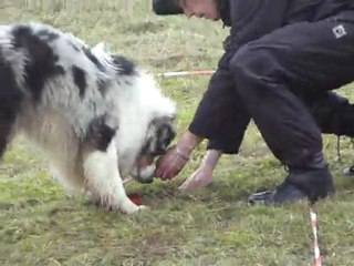 fox-trot cavage la rosiere