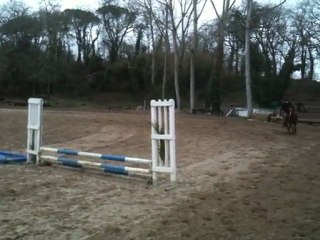 little bay mon loulou