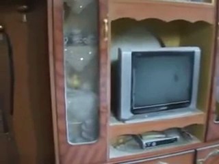 فري برس   الزبداني اثار القصف على المدينة 15 1 2012 ج2