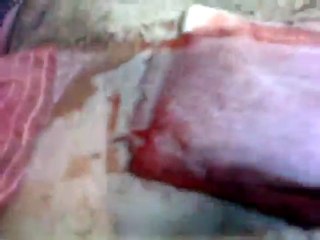 فري برس   الشهيد سامر يحيى حمشو 16 1 2012