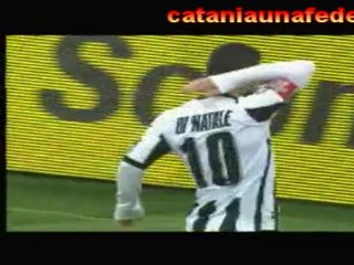 Udinese-Catania 2-1